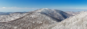 Jastrebac Winter Panorama