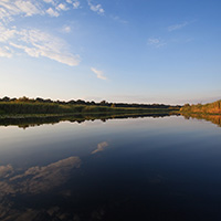 Obedska bara and river Sava banks, 2013-2015.
